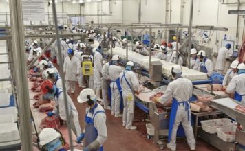 केंद्र के डीए रोकने के फैसले से निजी क्षेत्र के कामगारों पर मंडराता खतरा केंद्र सरकार के हालिया एक फैसले से निजी क्षेत्र के कामगारों पर ‘कोरोना’ संकट का खतरा मंडरा रहा है। केंद्र सरकार ने डीए की किश्तें रोकने का फैसला किया है।