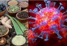 प्रतिरोधक क्षमता बढ़ाने के लिये आयुष मंत्रालय ने जारी की एडवाइजरी कोरोना का एक और मरीज देवघर में मिला है। देवघर में अब कोरोना पॉजिटिव मरीजों की संख्या 2 हो गयी है। देवघर में पाया गया दूसरा मरीज गुजरात से लौटा था।