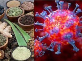 कोरोना के देवघर में एक और मरीज, बिहार में मिले 17, संख्या 214 कोरोना का एक और मरीज देवघर में मिला है। देवघर में अब कोरोना पॉजिटिव मरीजों की संख्या 2 हो गयी है। देवघर में पाया गया दूसरा मरीज गुजरात से लौटा था।