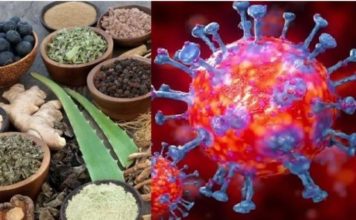 कोरोना के देवघर में एक और मरीज, बिहार में मिले 17, संख्या 214 कोरोना का एक और मरीज देवघर में मिला है। देवघर में अब कोरोना पॉजिटिव मरीजों की संख्या 2 हो गयी है। देवघर में पाया गया दूसरा मरीज गुजरात से लौटा था।