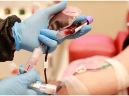 कोरोना के इलाज में प्लाज्मा थेरेपी कारगर साबित हो रही है कोरोना के इलाज में प्लाज्मा थेरेपी कारगर साबित हो रही है। भारतीय डाक्टरों ने यह नया तरीका ईजाद किया है। दिल्ली में इसका प्रयोग हो चुका है।