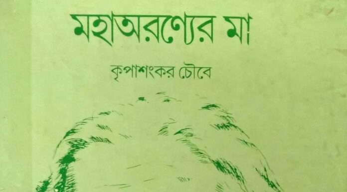 पं. अच्युतानंद मिश्र, जनसत्ता और महाश्वेता देवी का स्तंभ पं. अच्युतानंद मिश्र जब ‘जनसत्ता’ के संपादक थे तो वे महाश्वेता देवी से स्तंभ लिखवाते थे। महाश्वेता जी बांग्ला में लिखकर देतीं।