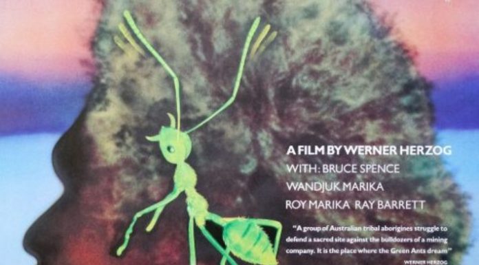 हरी चीटियाँ जहाँ सपने देखती हैं- फिल्म का संदेश तो समझें हरी चीटियाँ जहाँ सपने देखती हैं (Where the Green Ants Dream) पश्चिम जर्मनी के वर्नर हरिजोग (Werner Herzog) की यह चर्चित फिल्म है।