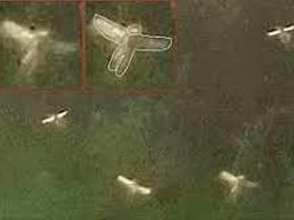 परियां नीले वस्त्र पहनती हैं और उनके बाल सुनहरे होते हैं परियां नीले वस्त्र पहनती हैं और उनके बाल सुनहले होते हैं। भूमंडल में परियों का अस्तित्व है। परियों को देखने के लिए उम्दा किस्म के कैमरे की जरूरत है।