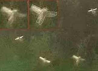 परियां नीले वस्त्र पहनती हैं और उनके बाल सुनहरे होते हैं परियां नीले वस्त्र पहनती हैं और उनके बाल सुनहले होते हैं। भूमंडल में परियों का अस्तित्व है। परियों को देखने के लिए उम्दा किस्म के कैमरे की जरूरत है।