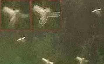 परियां नीले वस्त्र पहनती हैं और उनके बाल सुनहरे होते हैं परियां नीले वस्त्र पहनती हैं और उनके बाल सुनहले होते हैं। भूमंडल में परियों का अस्तित्व है। परियों को देखने के लिए उम्दा किस्म के कैमरे की जरूरत है।