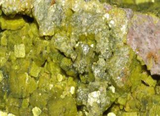 बिहार के कई जिलों में भू-जल में यूरेनियम की अधिक मात्रा मिली बिहार के कई जिलों में भू-जल में यूरेनियम की अधिक मात्रा पायी गयी है। केंद्रीय भूजल बोर्ड ने वर्ष 2019 के दौरान पहली बार अपने मूल्यांकन में यह पाया।