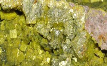 बिहार के कई जिलों में भू-जल में यूरेनियम की अधिक मात्रा मिली बिहार के कई जिलों में भू-जल में यूरेनियम की अधिक मात्रा पायी गयी है। केंद्रीय भूजल बोर्ड ने वर्ष 2019 के दौरान पहली बार अपने मूल्यांकन में यह पाया।