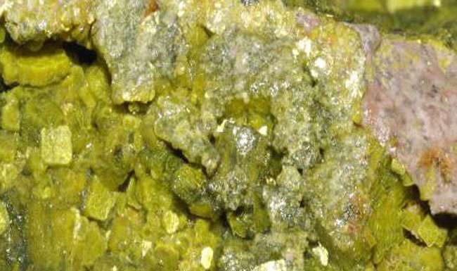 बिहार के कई जिलों में भू-जल में यूरेनियम की अधिक मात्रा मिली बिहार के कई जिलों में भू-जल में यूरेनियम की अधिक मात्रा पायी गयी है। केंद्रीय भूजल बोर्ड ने वर्ष 2019 के दौरान पहली बार अपने मूल्यांकन में यह पाया।