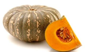 महिलाएं कुम्हड़ा क्यों नहीं काटतीं, क्या आप यह जानते हैं? कुम्हड़ा आमतौौर पर पुरुष ही काटते हैं। साबूत कुम्हड़ा औरतें नहीं कभी नहीं काटतीं। आइए, जानते हैं ऐसा क्यों होता है।