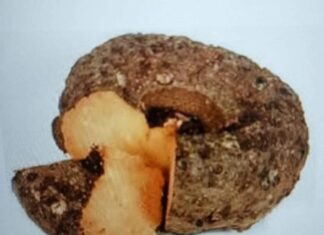 दीवाली पर सूरन की सब्जी जरूर खाएं, छूंछूंदर बनने से बचें सूरन की सब्जी खाने की परंपरा के पीछे इसका चिकित्सकीय महत्व बताया जाता है। इसमें कई विटामिन्स और खनिज पाए जाते हैं।