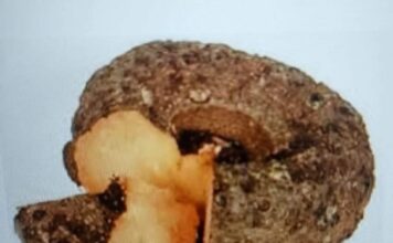 दीवाली पर सूरन की सब्जी जरूर खाएं, छूंछूंदर बनने से बचें सूरन की सब्जी खाने की परंपरा के पीछे इसका चिकित्सकीय महत्व बताया जाता है। इसमें कई विटामिन्स और खनिज पाए जाते हैं।