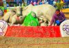 बिहार के सैंड आर्टिस्ट मधुरेंद्र ने रेत पर उकेरी गौ माता की तस्वीर, दिया नारी शक्ति का संदेश*